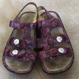 Beautiful Alegria sandals
